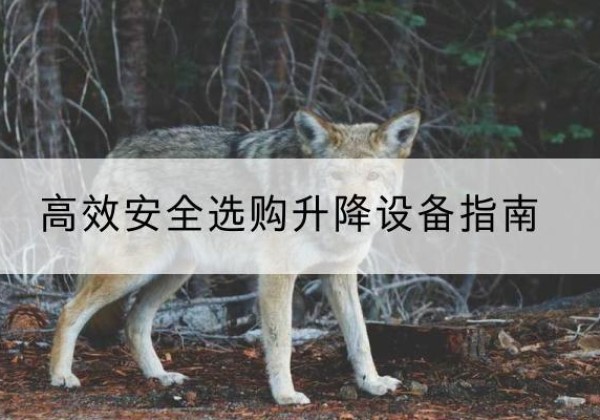 通许升降货梯厂家推荐-*安全选购升降设备指南