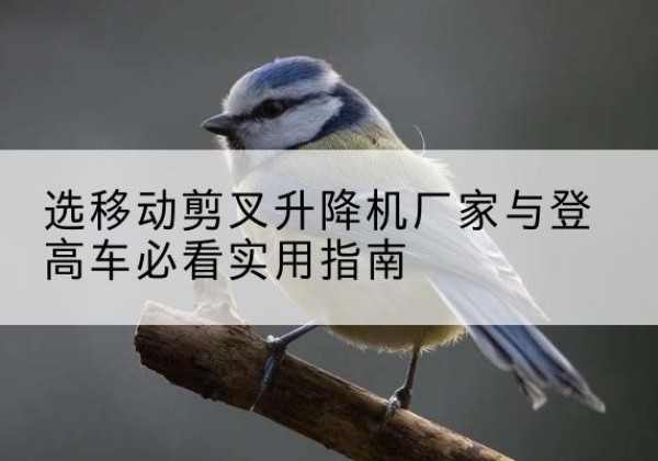 通许电动升降机厂家-选移动剪叉升降机厂家与登高车必看实用指南
