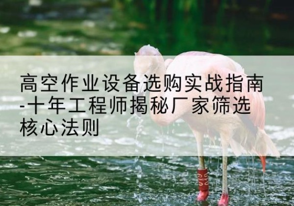 通许剪叉式升降机厂家-高空作业设备选购实战指南-十年工程师揭秘厂家筛选核心法则